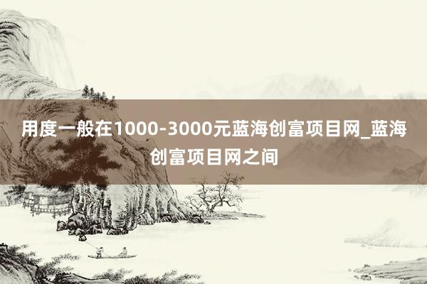 用度一般在1000-3000元蓝海创富项目网_蓝海创富项目网之间