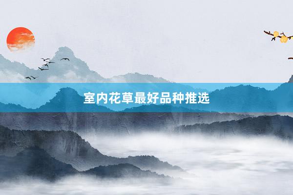 室内花草最好品种推选